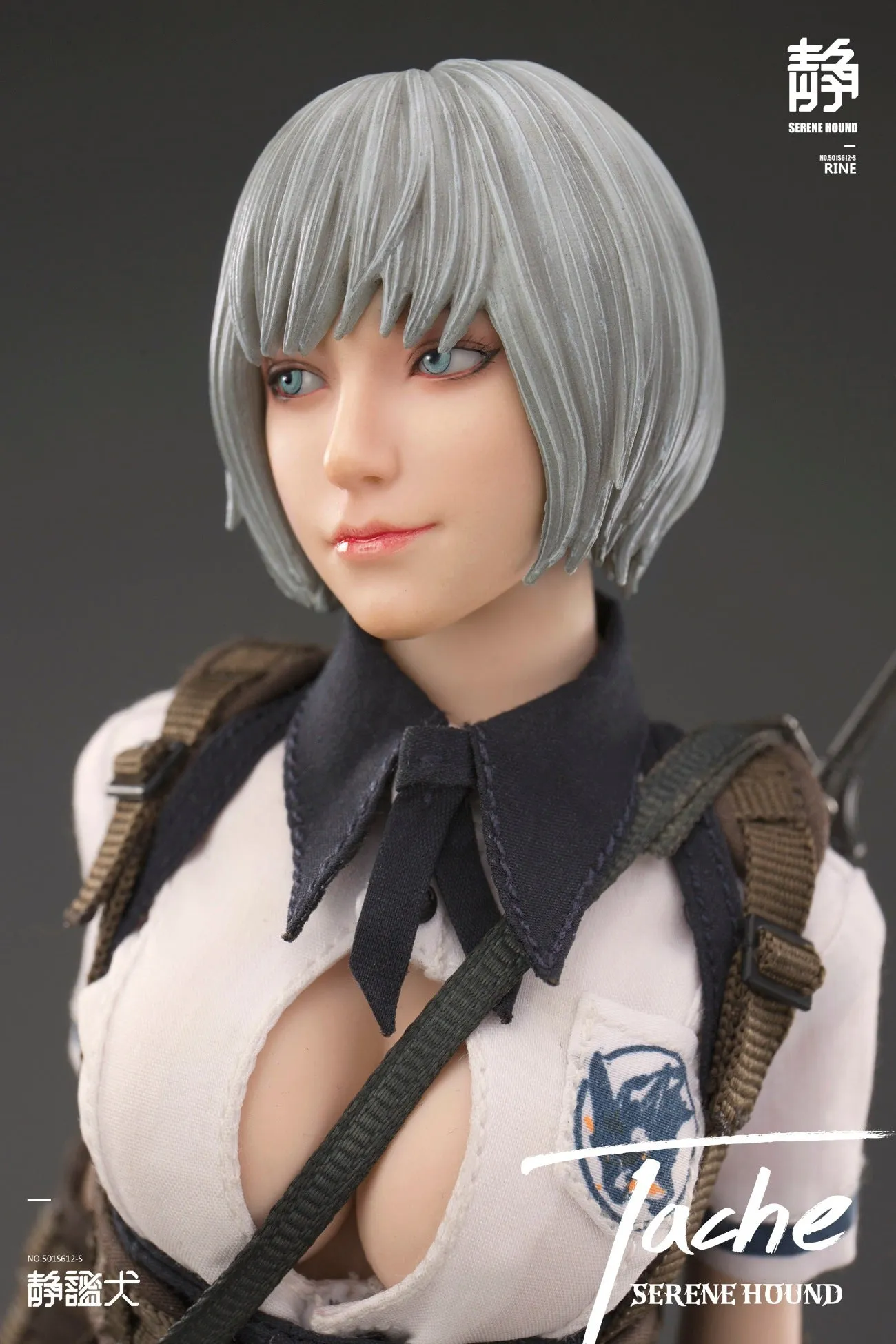 i8TOYS [i8-501S612S] Serene Hound Troop TACHE 1/6